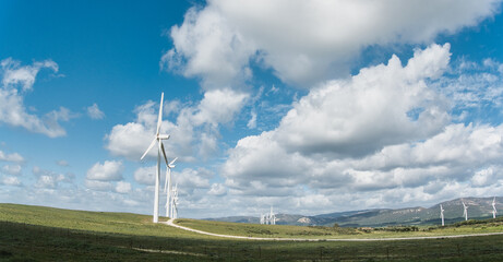 Sustainable energy production: Windmills standing majestically in a lush field against a blue sky with clouds - 748953238