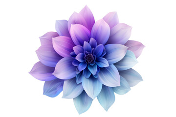 Elegant Blue and Purple Dahlia Flower Isolated on White Background
