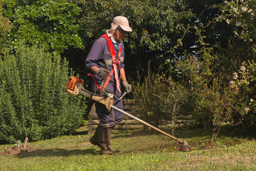 Man mowing lawn with edger. Lawn maintenance.