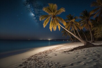 Fototapeta na wymiar White sandy beach with azure blue water and palm trees in a beautiful moonlit quiet night