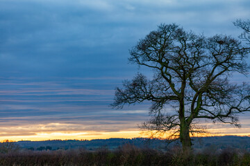 Fototapeta na wymiar Alcester at Sunset, Warwickshire, England