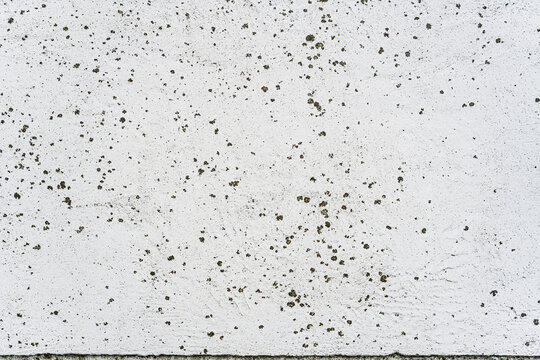 Spotted Concrete Texture