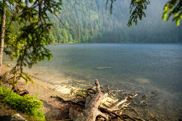 Summer rain at lake Feldsee, Black Forest, Germany. The small lake is in a nature reserve...