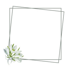 Silver double square frame with a bouquet of snowdrops. Illustration on a transparent background for the design of cards, invitations, etc.