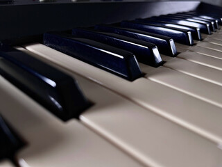 Details of the keys on a music keyboard