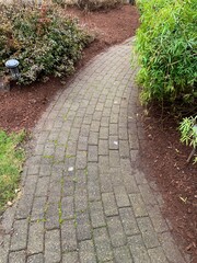 Paver path with fresh bark on the sides