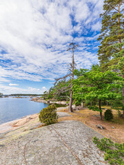 Ostseeküste mit Felsen und Bäumen bei Oskashamn in Schweden - 748962267