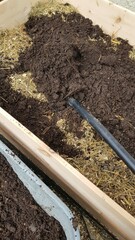 Building and filling a raised bed