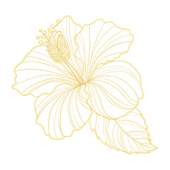 Gold outline illustration with hibiscus flower © MariiaMart