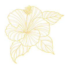 Gold outline illustration with tropical flower © MariiaMart
