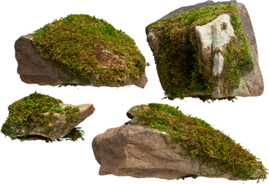 LAYER-LAB_1451817140_LC