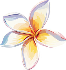 Fototapeta na wymiar Paradise flower plumeria vector hand drawing. Tropical flower, exotic plant. Bright plant