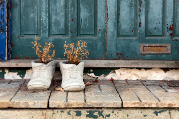 Dried potted plants against green doors