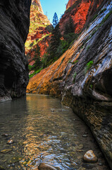 Mystery Falls on a narrow and deep stretch of the Narrows of the Virgin River, Zion National Park, Utah, Southwest USA.