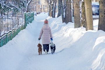 Girl walking with two dogs in the city in winter