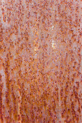 Weatherd Rusted Metal Texture