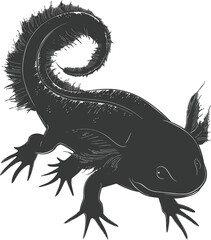 Naklejka premium Silhouette Axolotl animal black color only full