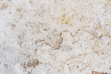 Raw Rough Sandstone Texture