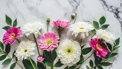 flowers composition white and pink flowers on marble background flat lay top view