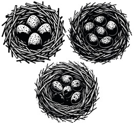 Nature's Cradle: Bird Nests and Speckled Eggs