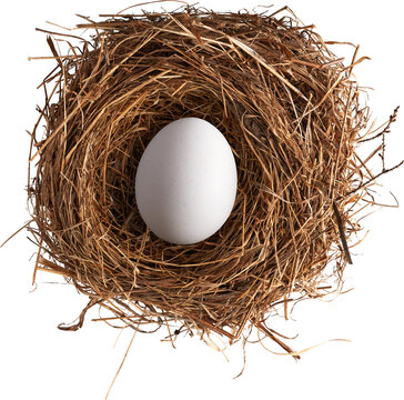 White egg in dry straw bird nest top view isolated on transparent background