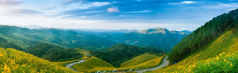 Foto op Plexiglas panorama mountain forest and flower field. © Design