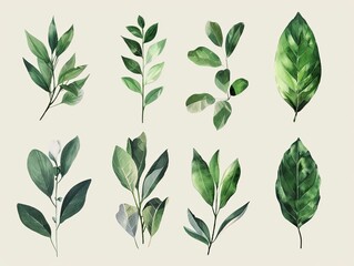Plant leaf brushstroke shapes