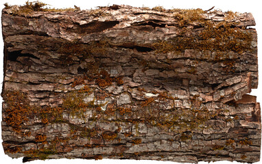 LAYER-LAB_0906200423_LC