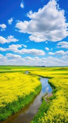 Vivid rapeseed bloom by a winding river, flanked by lush fields under a sky dotted with cumulus clouds