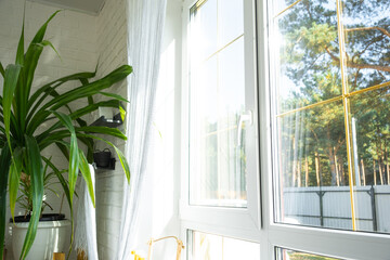 Window from inside the house plastic double-glazed window view outside to the sunny forest - interior salon with potted plants, clean glass after cleaning windows, closed window © Ольга Симонова