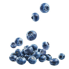 Falling blueberries on transparent or white background