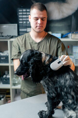 In a veterinary clinic a doctor checks a chip under a dog's skin with a sensor
