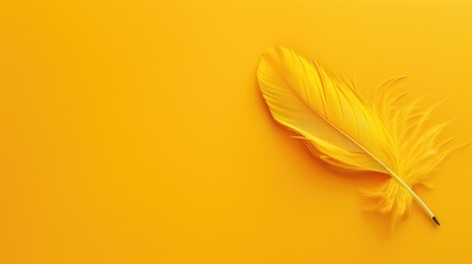 A delicate yellow feather lies on a bright yellow background