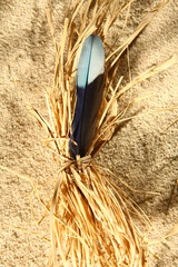 A feather is tied to a bundle of straw on a sandy beach - 748990818