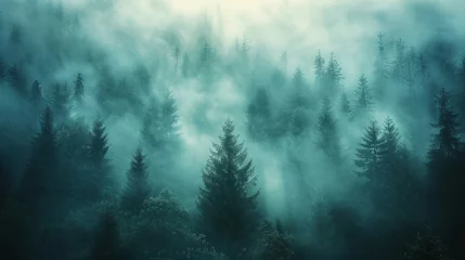 Foto op Canvas A minimalist photograph capturing a misty forest, where tall trees fade into the fog © olegganko