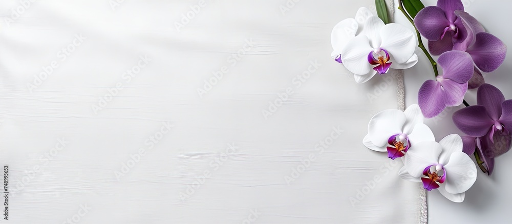 Poster purple and white orchids are arranged neatly on a clean white background, creating a minimalist and 