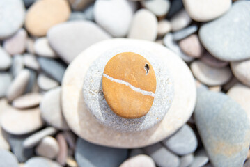 Tan Stone with White Stripe on Gray Pebble Heap