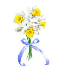 Watercolor daffodils flowers bouquet with lavender gift bow. Hand drawn illustration. Botanical hand painted floral elements background. Spring flower drawing. For interior print decoration.