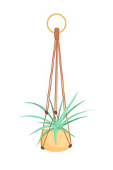 House plant in hanging macrame pot. Home green garden. Vector illustration of tropical flowers in hanger. Cute beautiful handmade home or office decoration