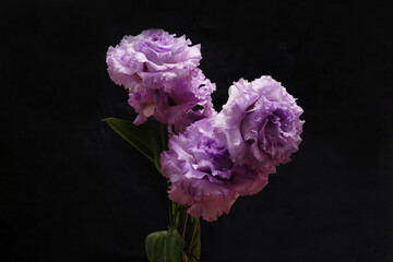 黒背景のトルコキキョウの花束