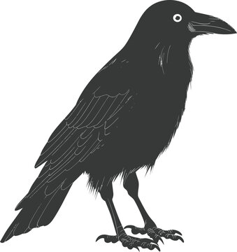 Silhouette crow bird black color only full body