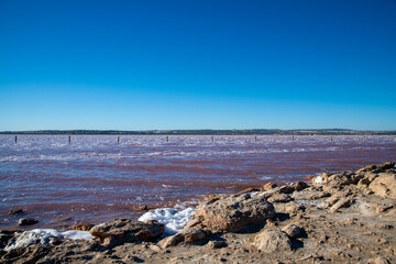 Vibrant Pink Waters of Torrevieja Salt Lake, Spain