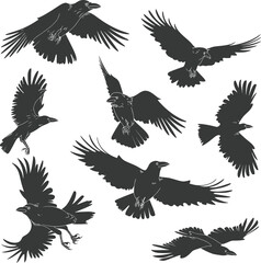 Obraz premium Silhouette crow bird fly black color only full body