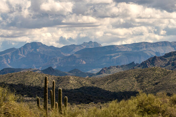 Fototapeta premium Salt River Canyon Wilderness