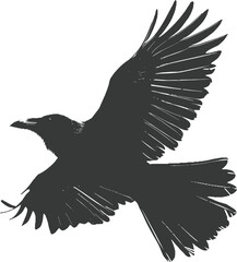 Silhouette crow bird fly black color only full body