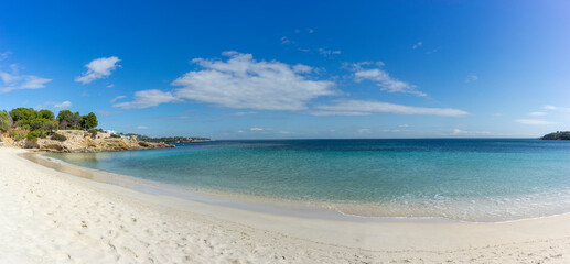 Pristine Beach Panorama with Crystal Clear Waters and Lush Greenery on a Sunny Day