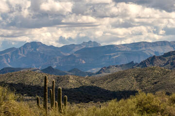 Winter Landscape in Arizona 