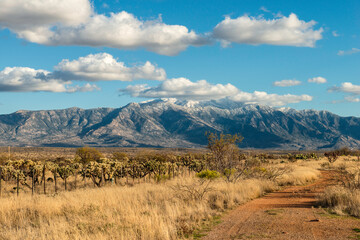 Arizona Landscape in Winter. 