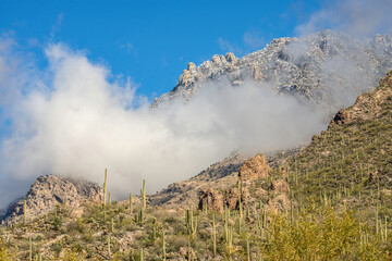 Mt Lemmon in Tucson Arizona