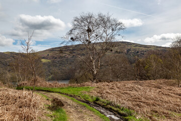 A rural Cumbrian view near Coniston, on an April day